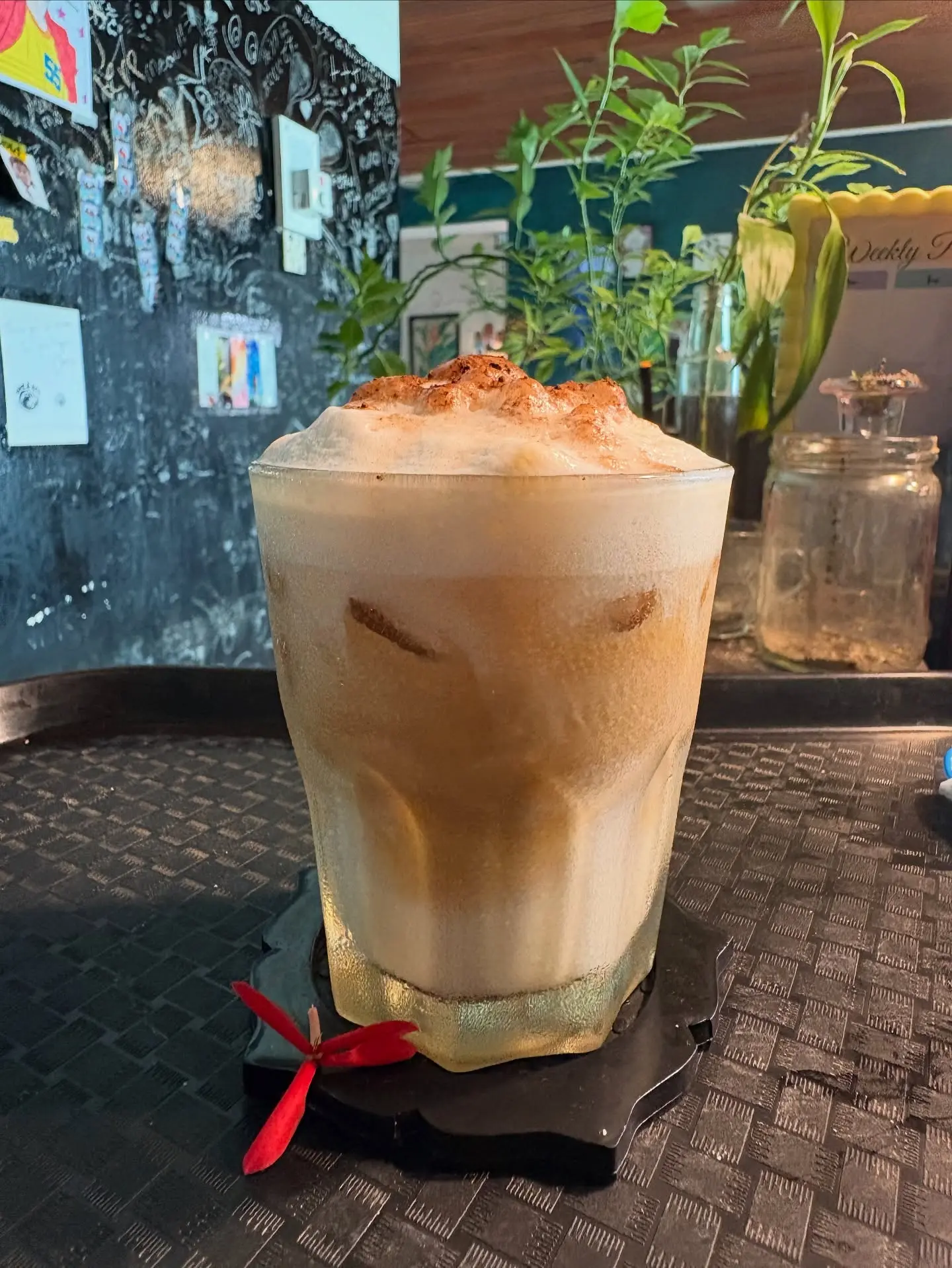 Neko and Kopi