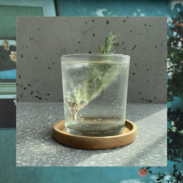 Swiss Elderflower & Rosemary Soda