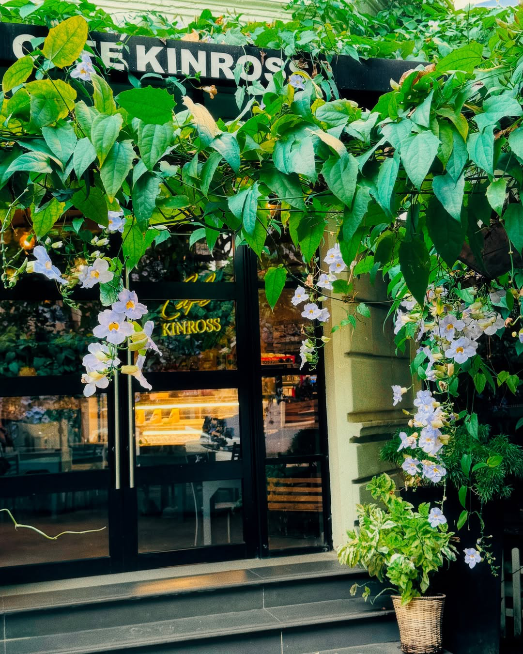 Cafe Kinross