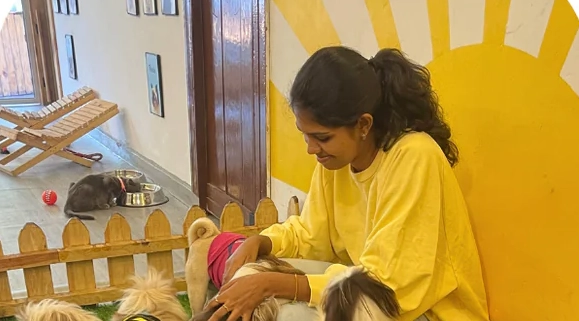 Paw Street Pet Experience