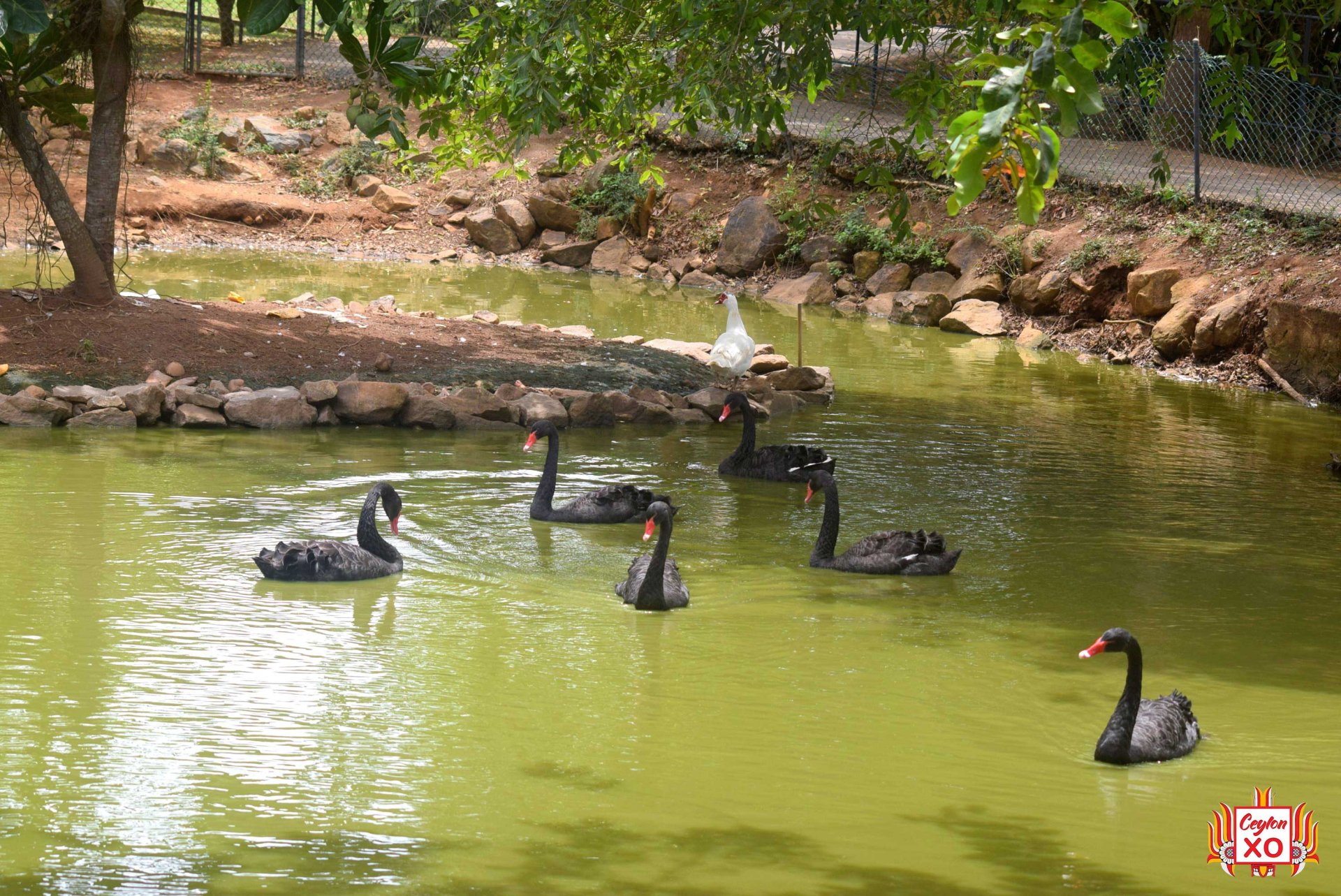 Birds Park Hambantota