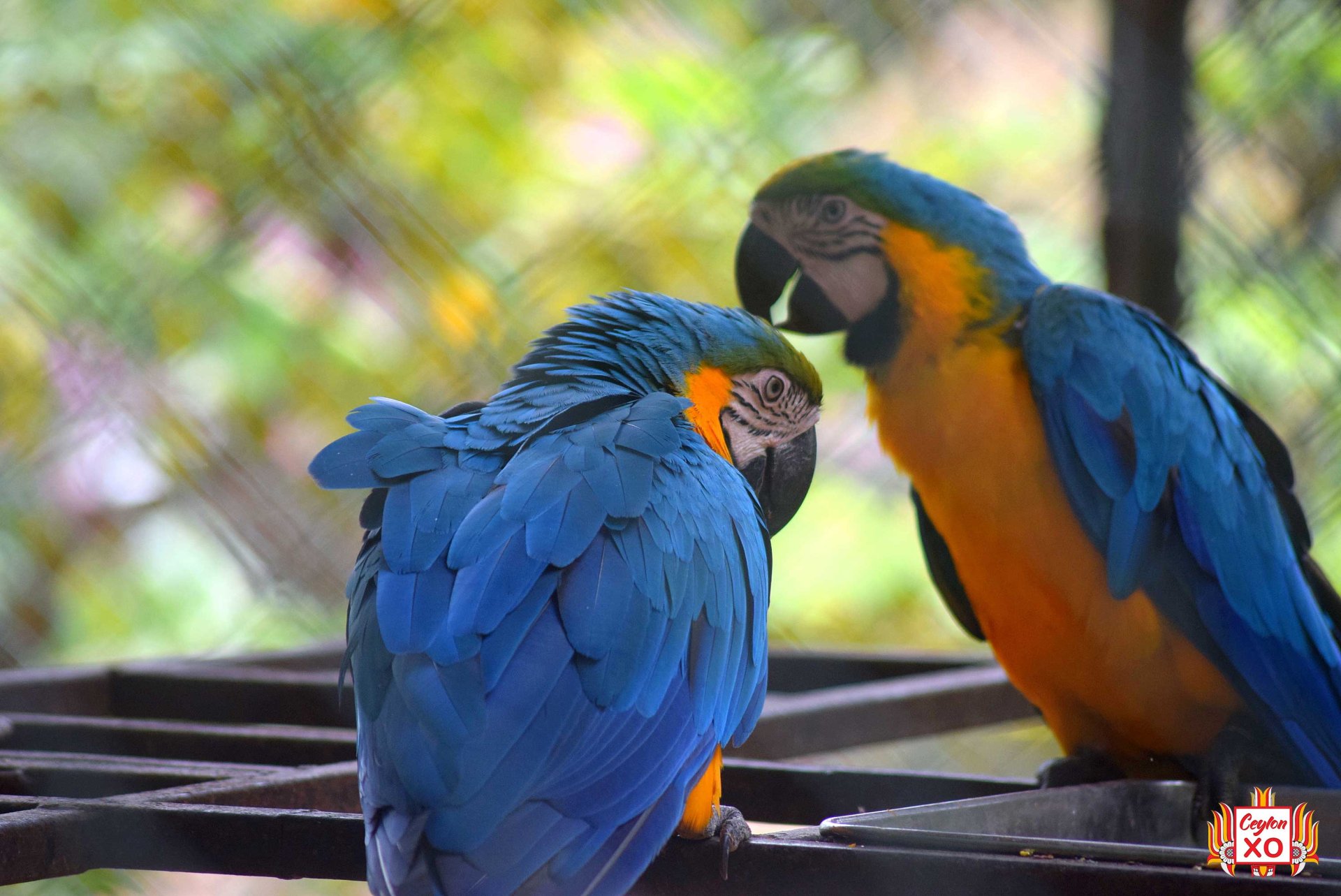 Birds Park Hambantota