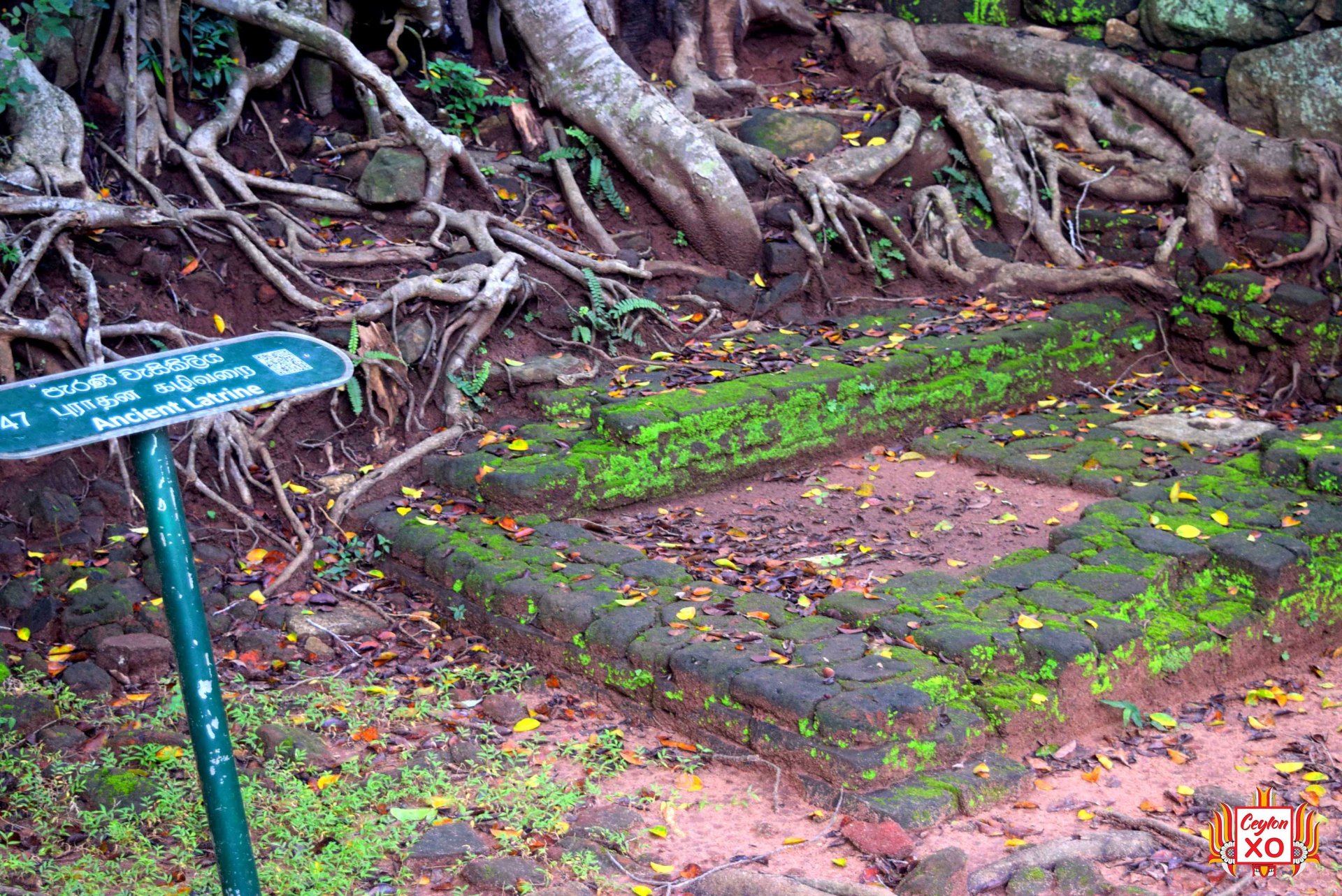 Sigiriya - Urinal System