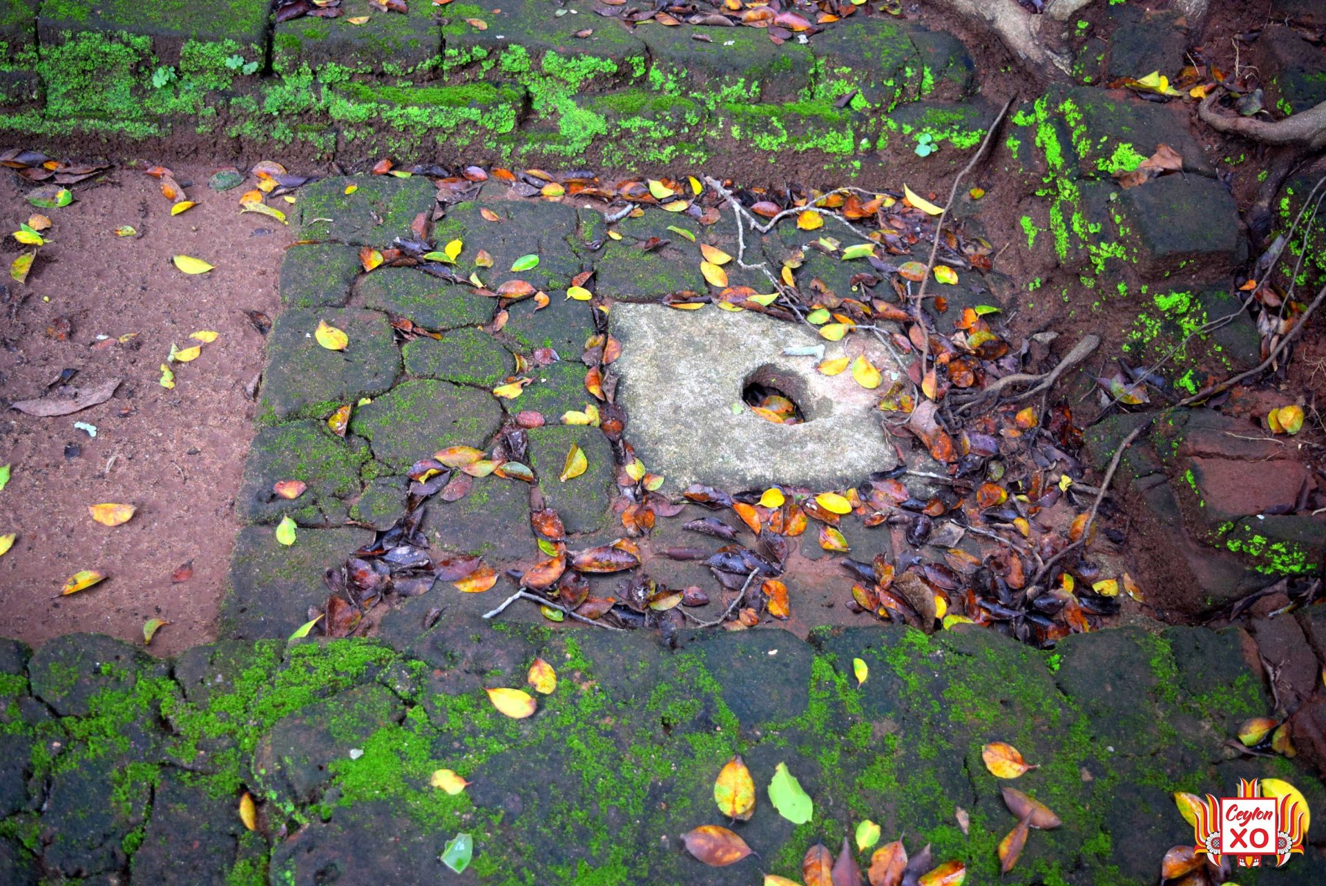 Sigiriya - Urinal System