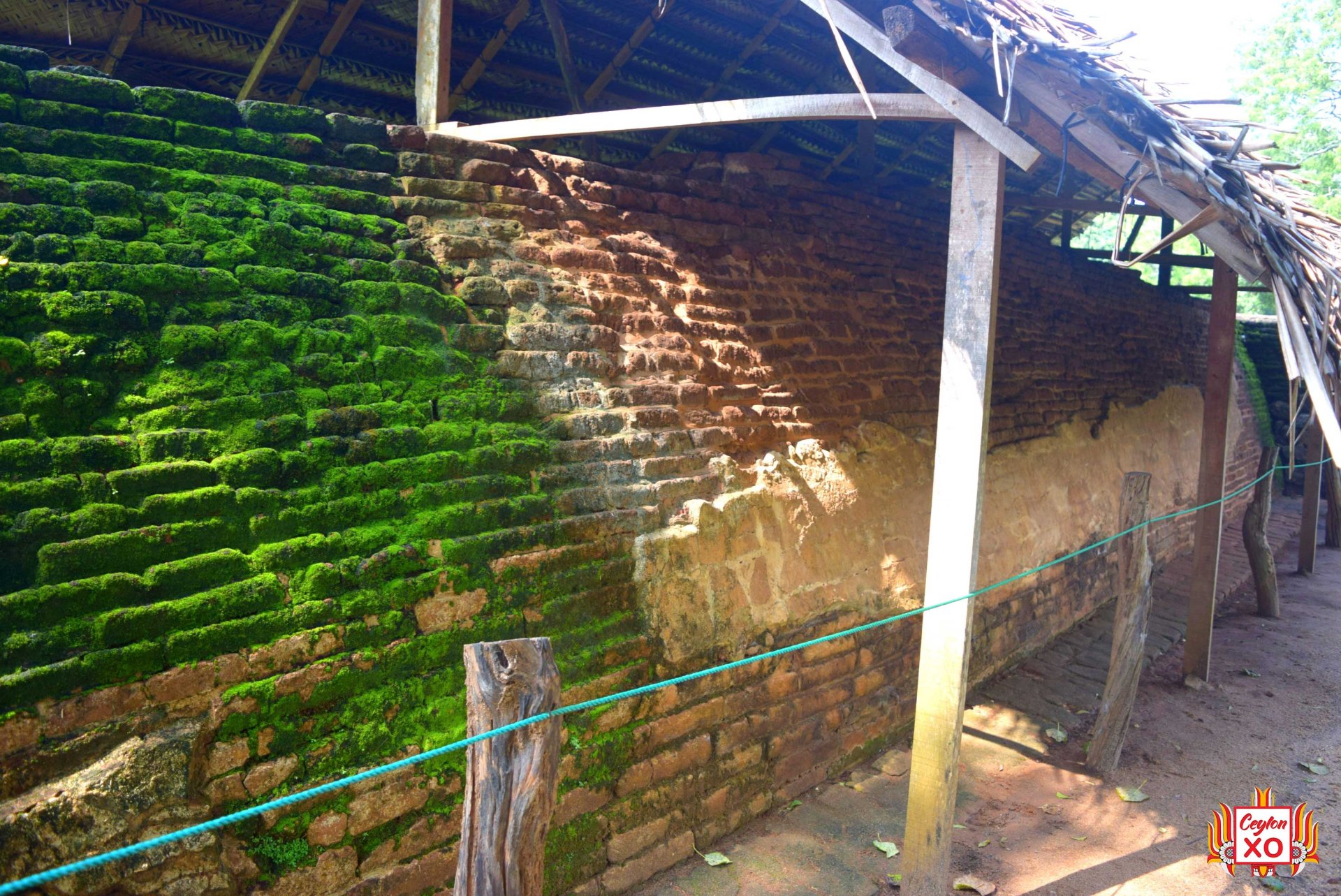 Sigiriya - Ancient Plaster