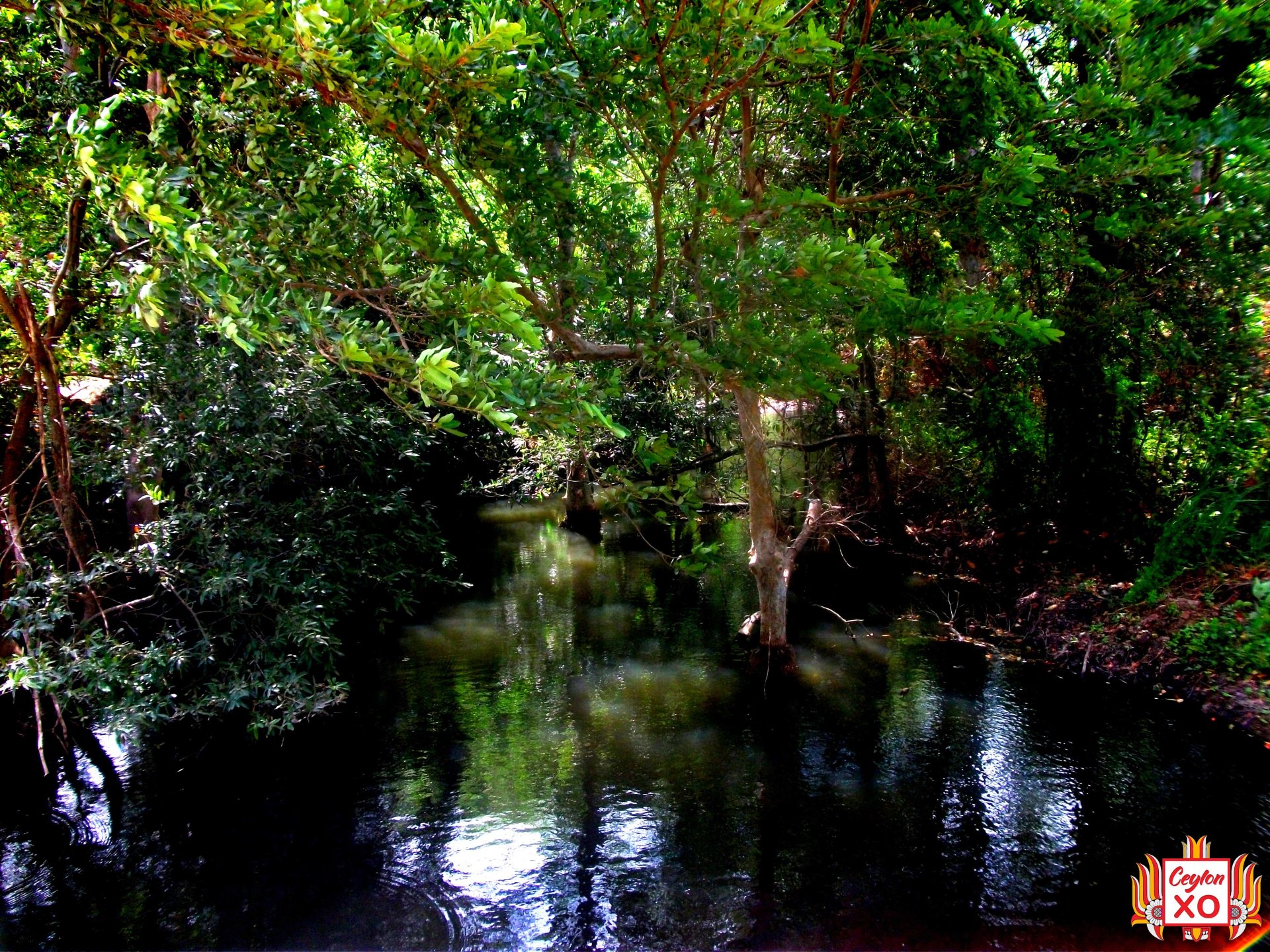 Buduruwagala Sthupa