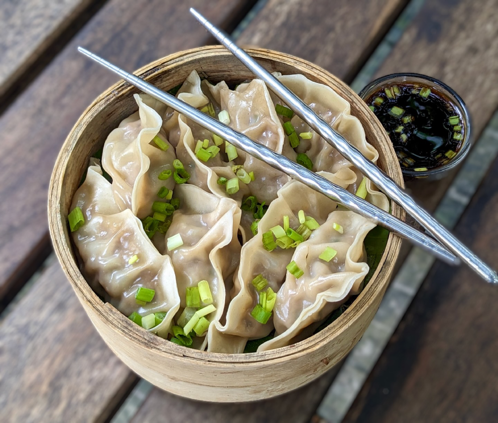 Chinese pork dumplings