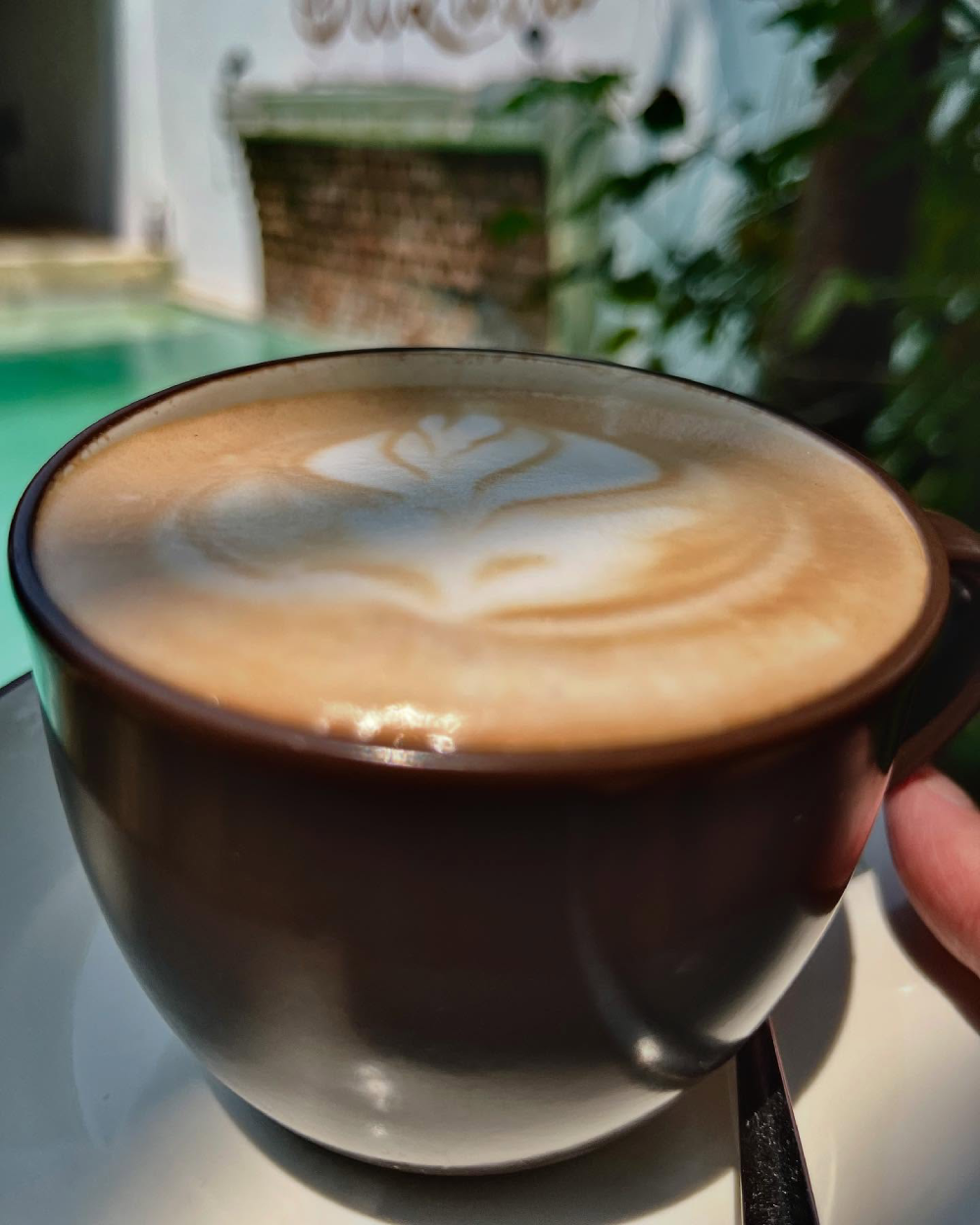 Vinya Garden