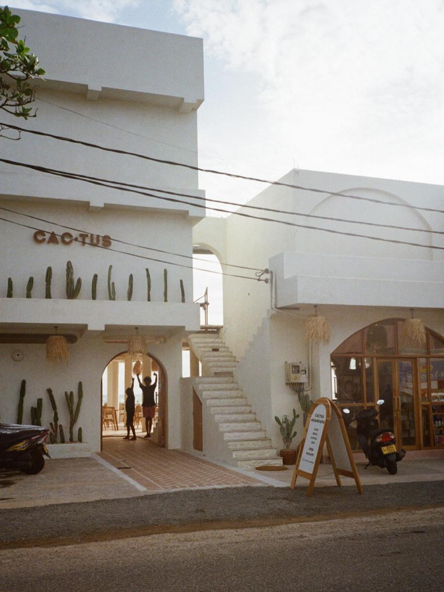 Cactus