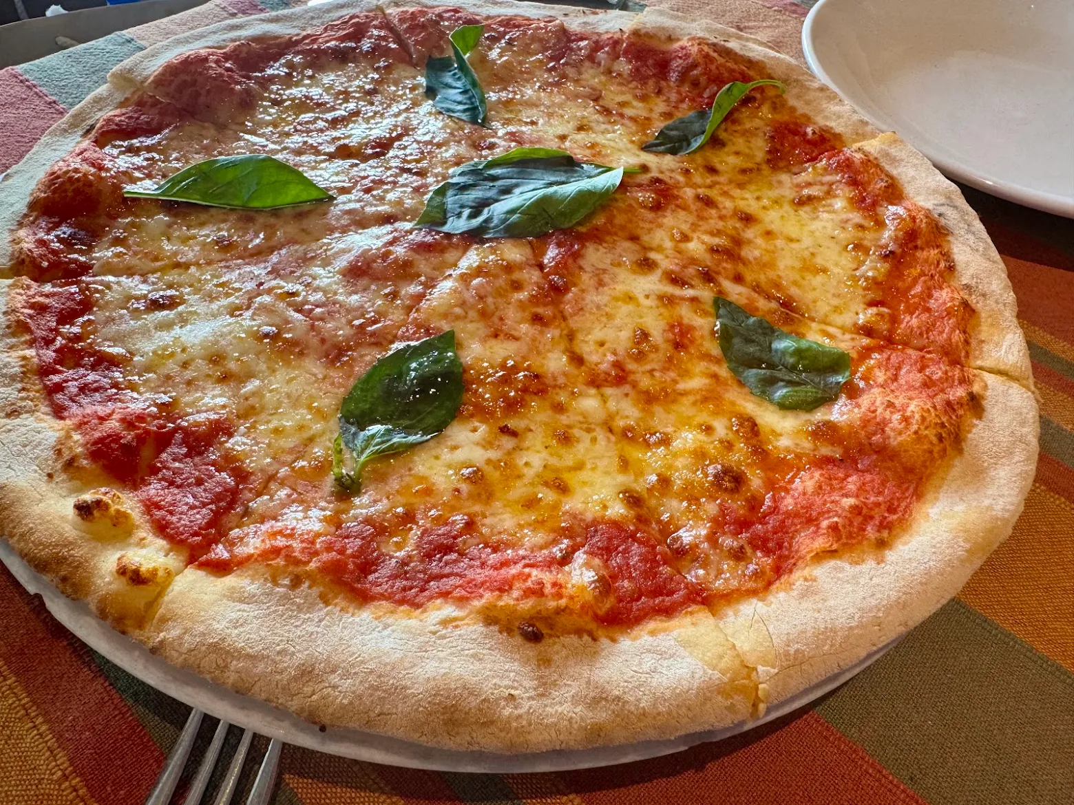 Margherita Pizza