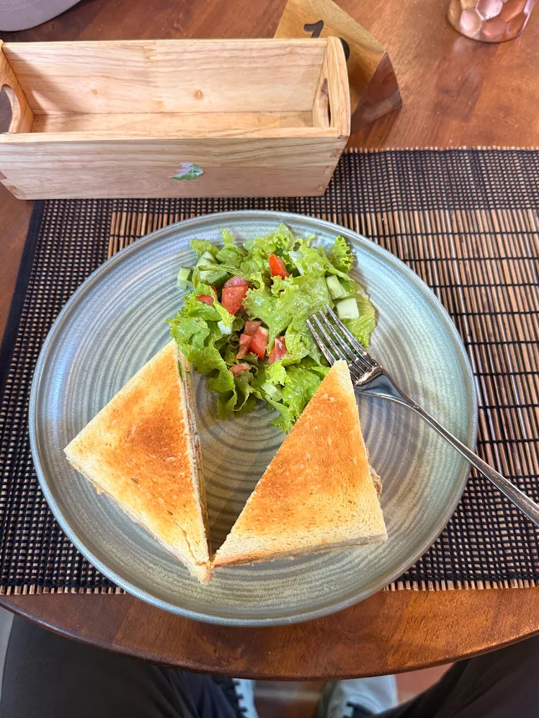 Toasted sandwich with fresh salad