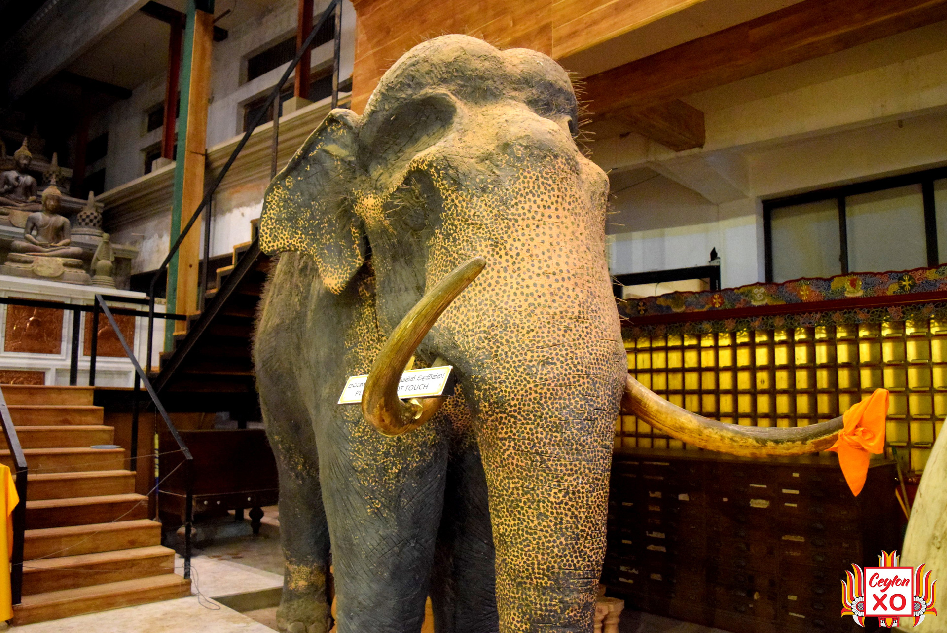 Gangaramaya - Museum - Ruwan Raja (Colombo)