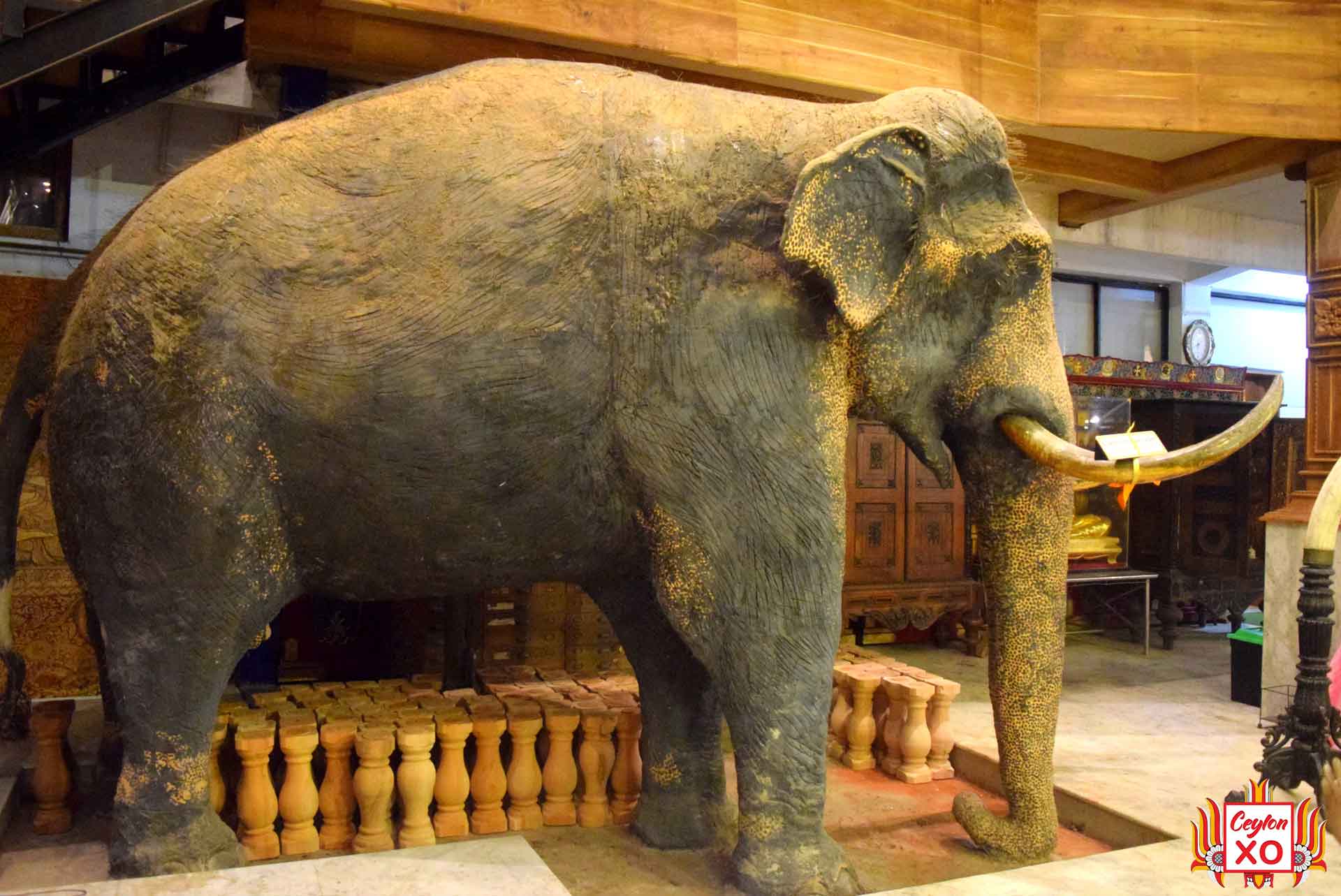 Gangaramaya - Museum - Ruwan Raja (Colombo)