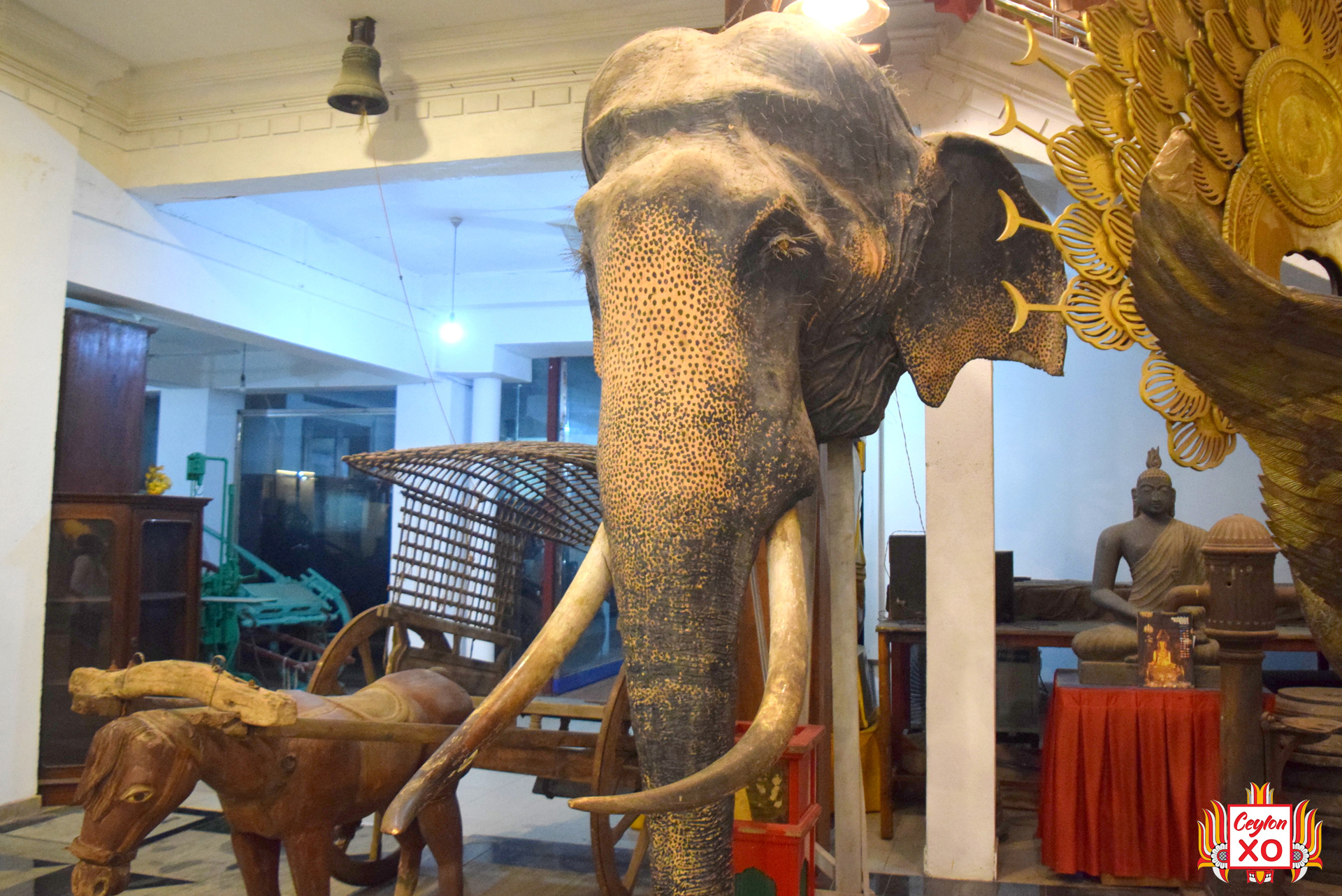 Gangaramaya - Museum - Athula (Colombo)