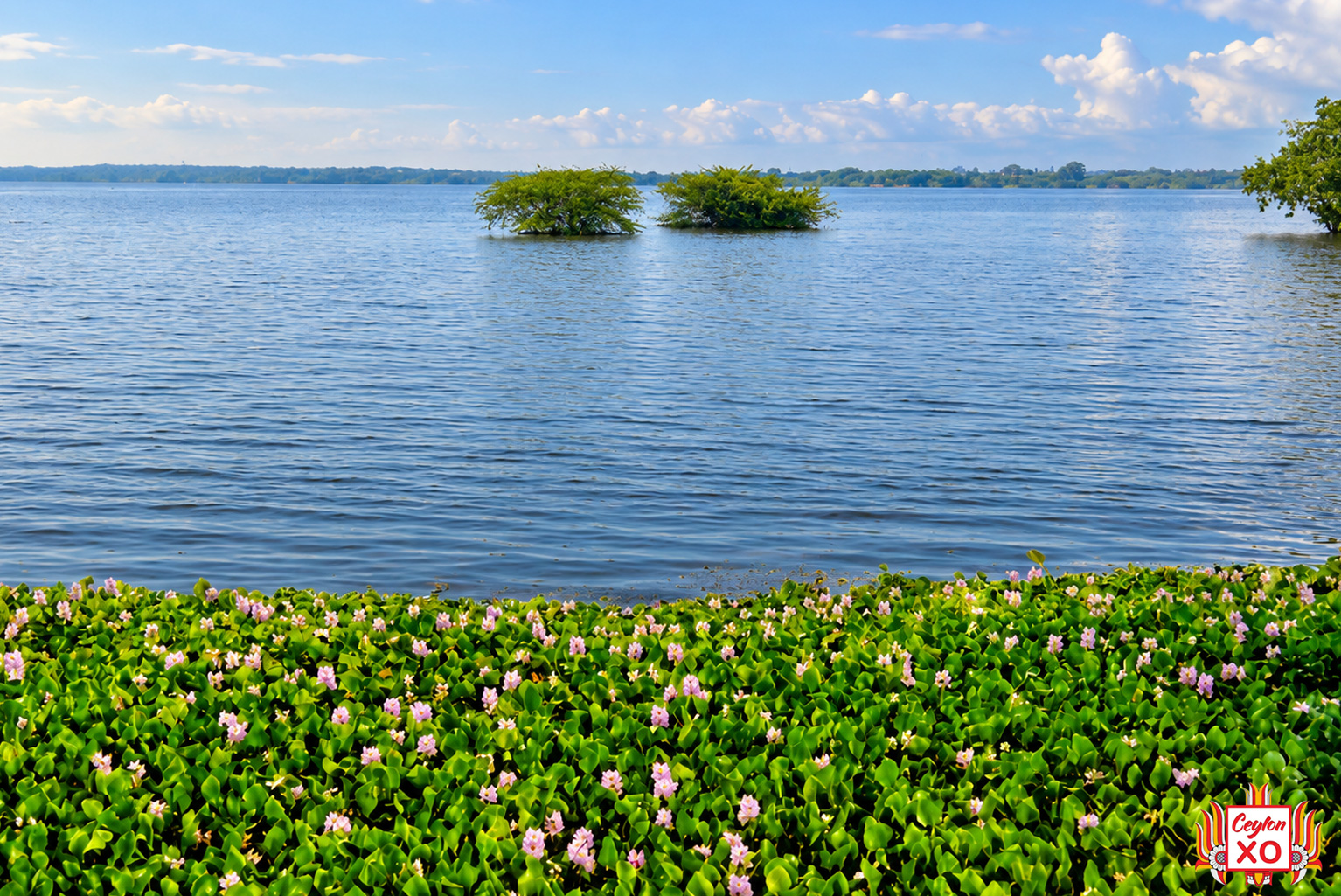 Thabbowa Lake